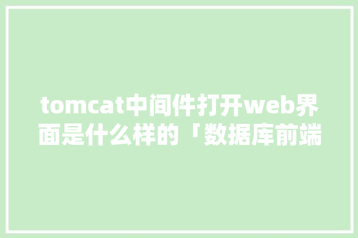 tomcat中间件打开web界面是什么样的「数据库前端web界面是什么」