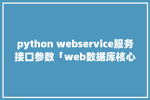 python webservice服务接口参数「web数据库核心接口是什么」
