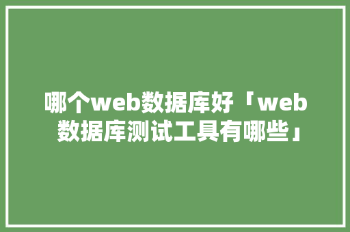 哪个web数据库好「web 数据库测试工具有哪些」 WordPress教程