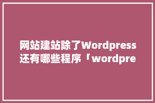 网站建站除了Wordpress还有哪些程序「wordpress教程 全套」 SEO教程