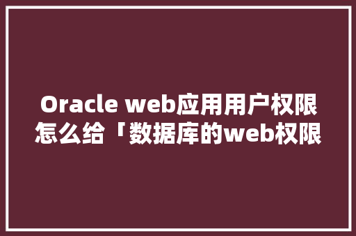 Oracle web应用用户权限怎么给「数据库的web权限控制是什么」 SEO教程