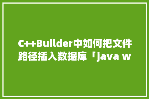 C++Builder中如何把文件路径插入数据库「java web 数据库」 建站教程