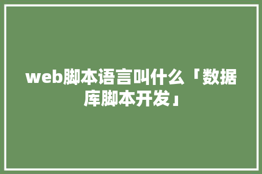 web脚本语言叫什么「数据库脚本开发」 建站教程