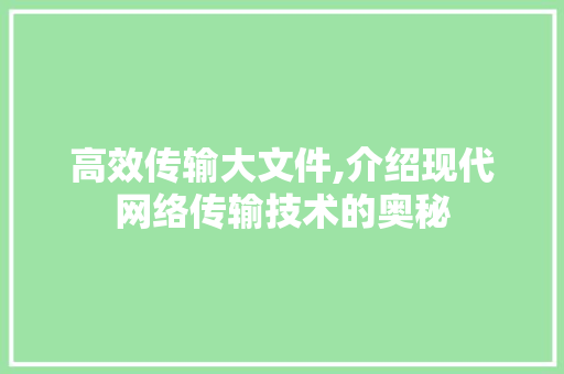 高效传输大文件,介绍现代网络传输技术的奥秘