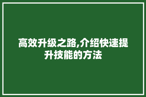 高效升级之路,介绍快速提升技能的方法 WordPress教程