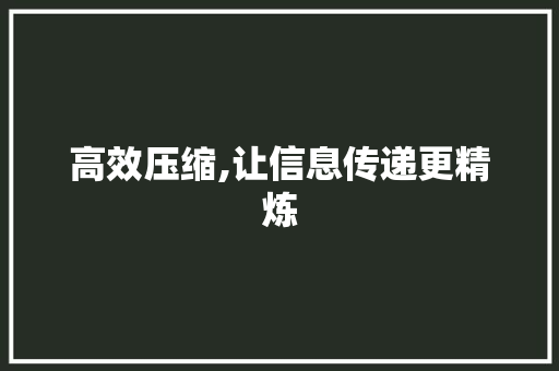 高效压缩,让信息传递更精炼