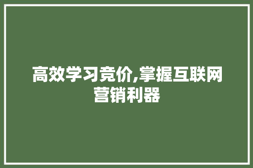 高效学习竞价,掌握互联网营销利器