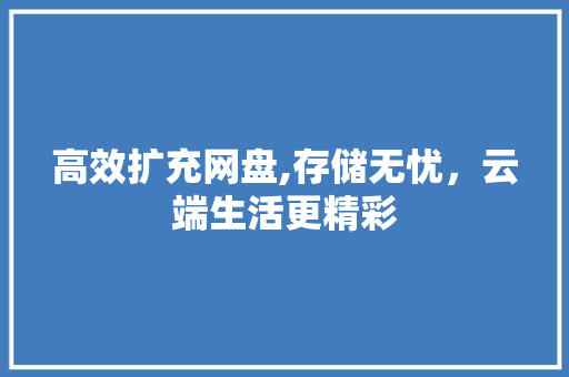 高效扩充网盘,存储无忧，云端生活更精彩
