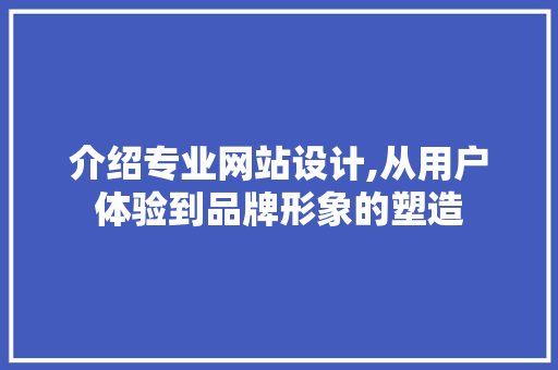 介绍专业网站设计,从用户体验到品牌形象的塑造