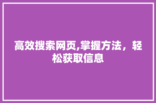 高效搜索网页,掌握方法，轻松获取信息 建站教程