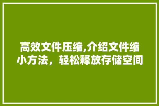 高效文件压缩,介绍文件缩小方法，轻松释放存储空间