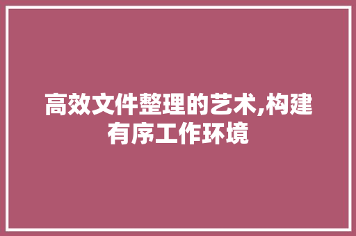高效文件整理的艺术,构建有序工作环境