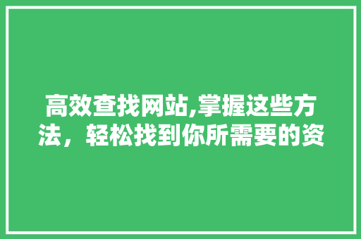 高效查找网站,掌握这些方法，轻松找到你所需要的资源