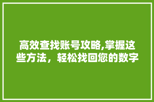 高效查找账号攻略,掌握这些方法，轻松找回您的数字身份