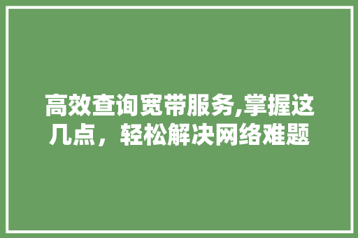 高效查询宽带服务,掌握这几点，轻松解决网络难题