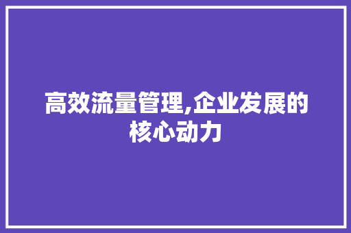 高效流量管理,企业发展的核心动力