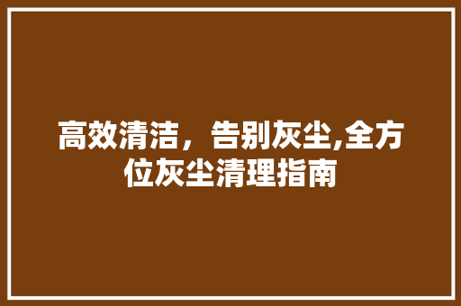 高效清洁，告别灰尘,全方位灰尘清理指南