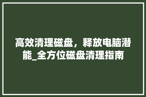 高效清理磁盘，释放电脑潜能_全方位磁盘清理指南