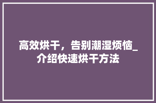 高效烘干，告别潮湿烦恼_介绍快速烘干方法 Web前端