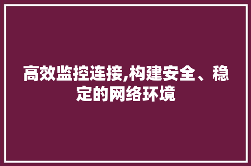 高效监控连接,构建安全、稳定的网络环境