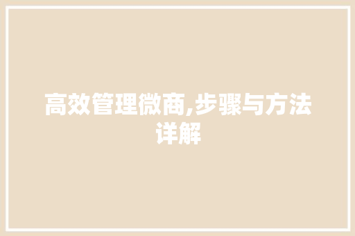 高效管理微商,步骤与方法详解 WordPress教程