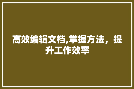 高效编辑文档,掌握方法，提升工作效率 建站教程