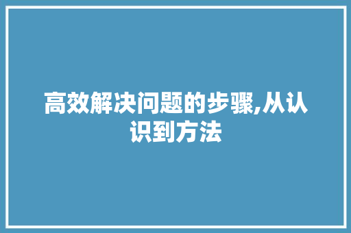 高效解决问题的步骤,从认识到方法