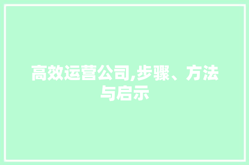 高效运营公司,步骤、方法与启示 SEO教程
