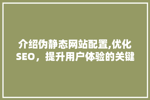 介绍伪静态网站配置,优化SEO，提升用户体验的关键之路