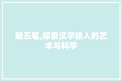 魅五笔,探索汉字输入的艺术与科学