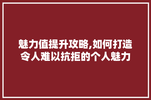 魅力值提升攻略,如何打造令人难以抗拒的个人魅力