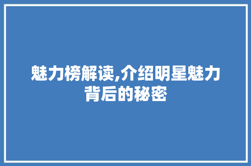 魅力榜解读,介绍明星魅力背后的秘密
