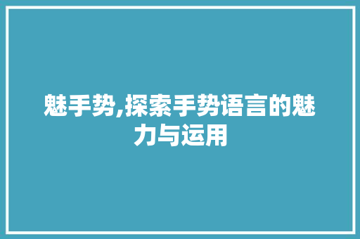 魅手势,探索手势语言的魅力与运用