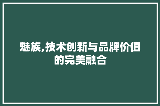 魅族,技术创新与品牌价值的完美融合
