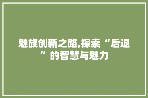 魅族创新之路,探索“后退”的智慧与魅力 SEO教程