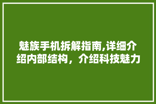 魅族手机拆解指南,详细介绍内部结构，介绍科技魅力
