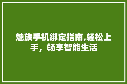 魅族手机绑定指南,轻松上手，畅享智能生活 SEO教程