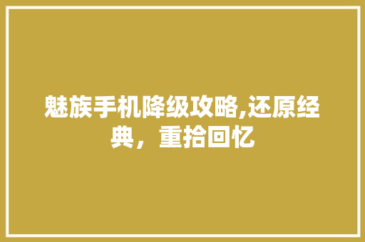 魅族手机降级攻略,还原经典，重拾回忆