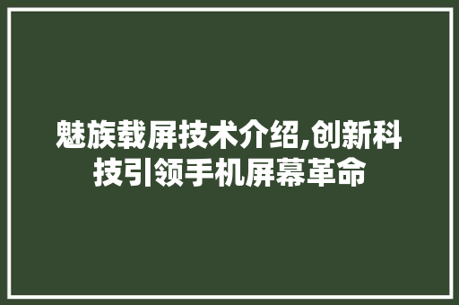 魅族载屏技术介绍,创新科技引领手机屏幕革命