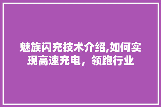 魅族闪充技术介绍,如何实现高速充电，领跑行业 友链在线