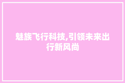 魅族飞行科技,引领未来出行新风尚