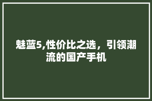 魅蓝5,性价比之选，引领潮流的国产手机 友链在线