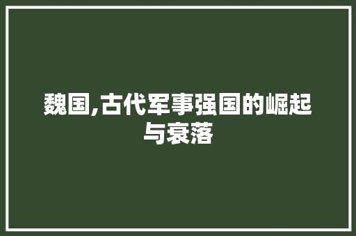 魏国,古代军事强国的崛起与衰落