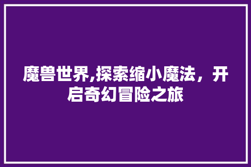 魔兽世界,探索缩小魔法，开启奇幻冒险之旅 Web前端