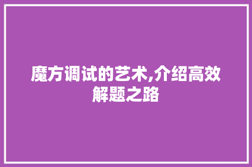 魔方调试的艺术,介绍高效解题之路