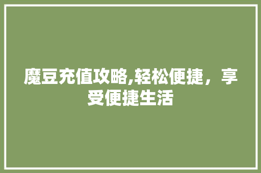 魔豆充值攻略,轻松便捷，享受便捷生活