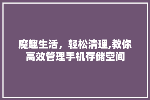 魔趣生活，轻松清理,教你高效管理手机存储空间