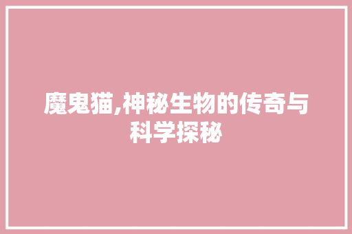 魔鬼猫,神秘生物的传奇与科学探秘