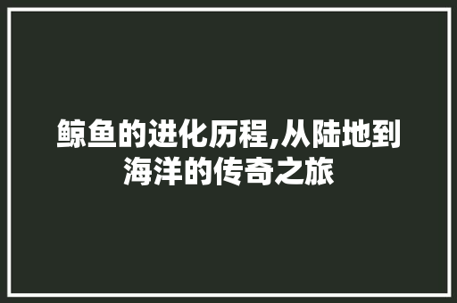 鲸鱼的进化历程,从陆地到海洋的传奇之旅