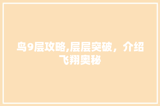 鸟9层攻略,层层突破，介绍飞翔奥秘